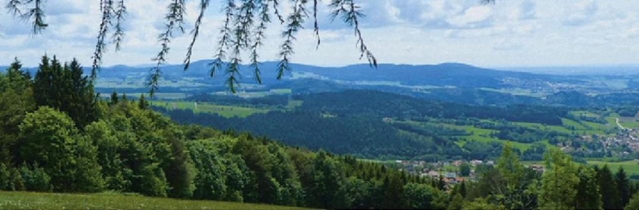 Traumblick Bayerischer Wald, Pool & Sauna, Getraenke, Klimaanlage フライウング エクステリア 写真