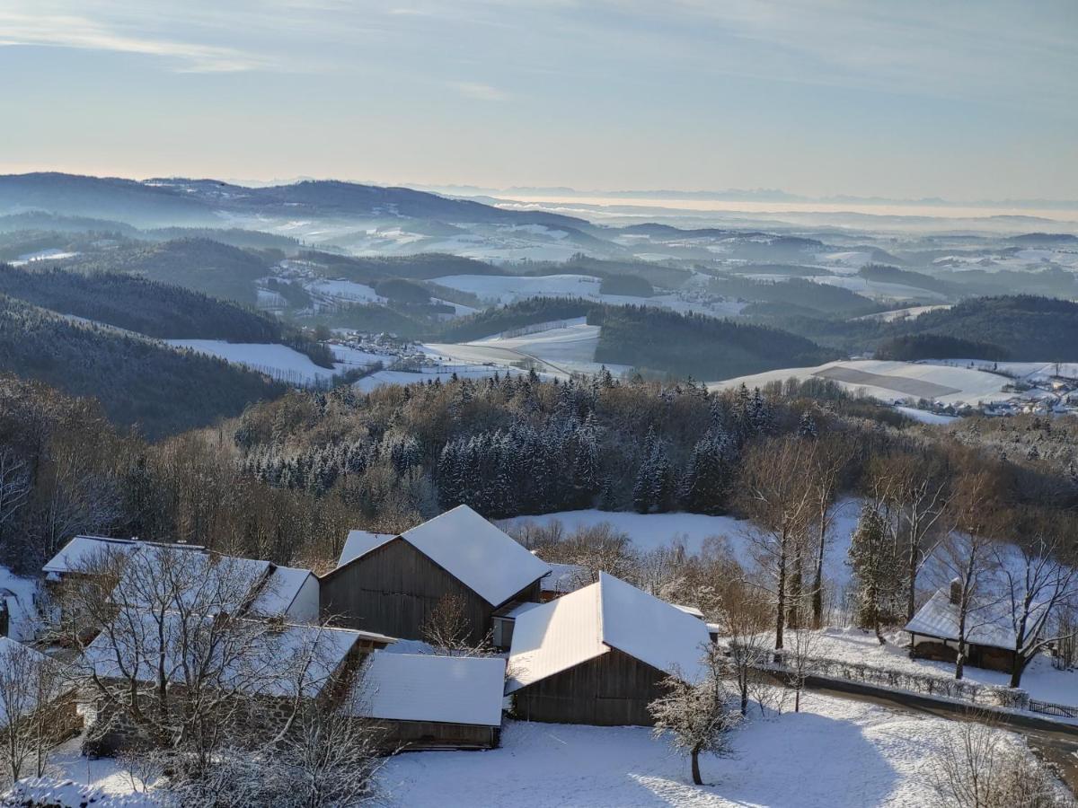 Traumblick Bayerischer Wald, Pool & Sauna, Getraenke, Klimaanlage フライウング エクステリア 写真