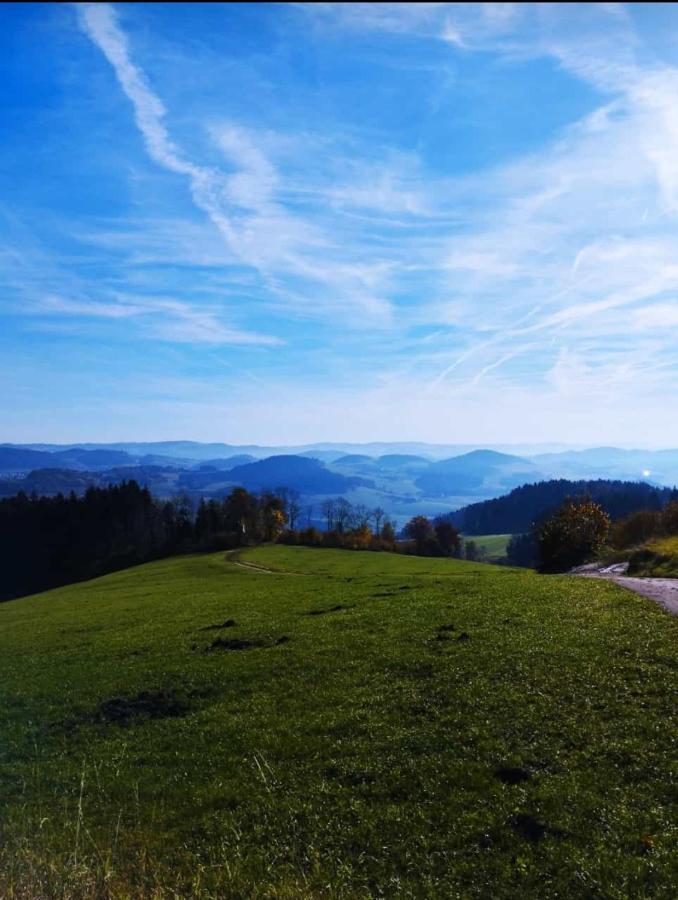 Traumblick Bayerischer Wald, Pool & Sauna, Getraenke, Klimaanlage フライウング エクステリア 写真